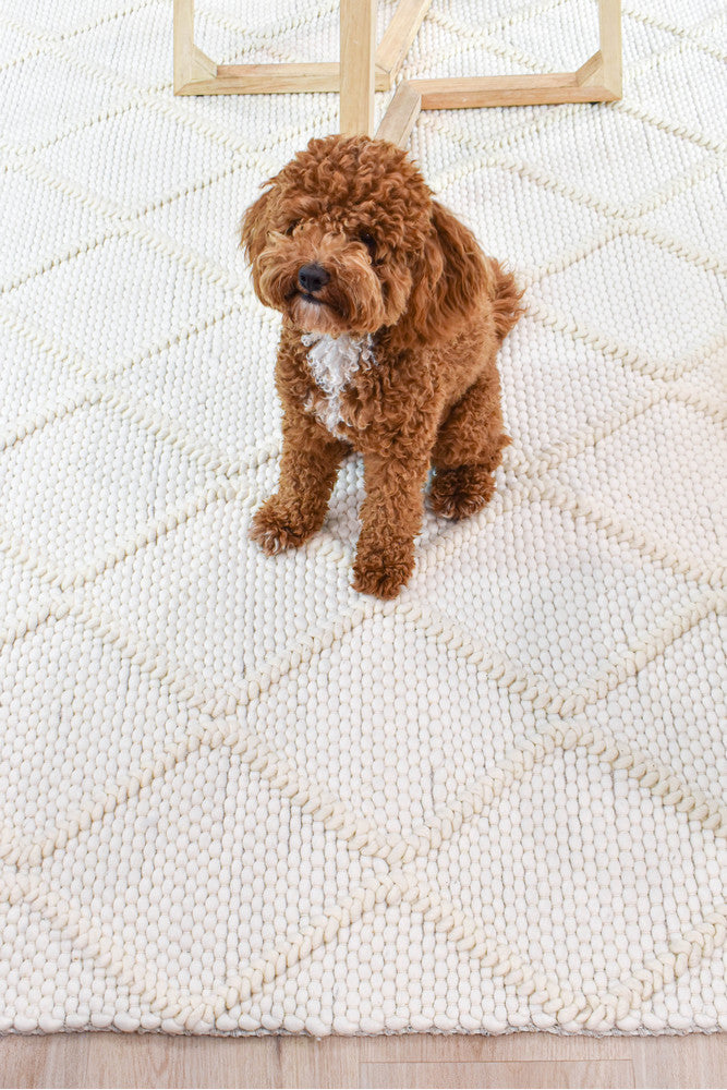 Sienna Diamond Frost Wool Rug