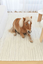 Arcadia Abstract Striated Linear Textured Latte Rug