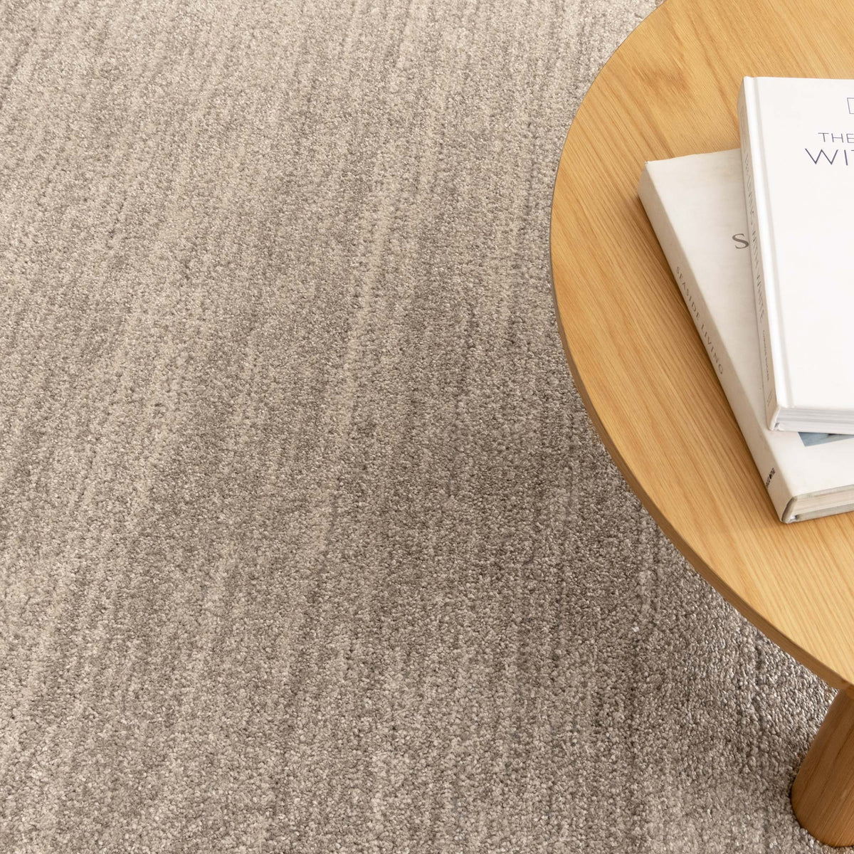 Aspen Minimalist Tonal Beige Rug