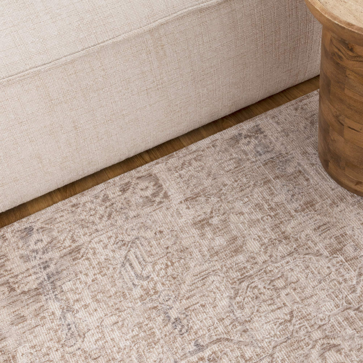 Muse Distressed Beige & Blue Transitional Rug