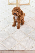 Sienna Diamond Frost Wool Rug