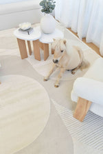Arcadia Mid-Century Geometric Arch Textured Pearl Rug
