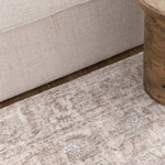 Muse Transitional Beige & Blue Rug