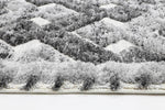 Eternity Mono Tribal Carved Lines Cream Anthracite - The Rugs