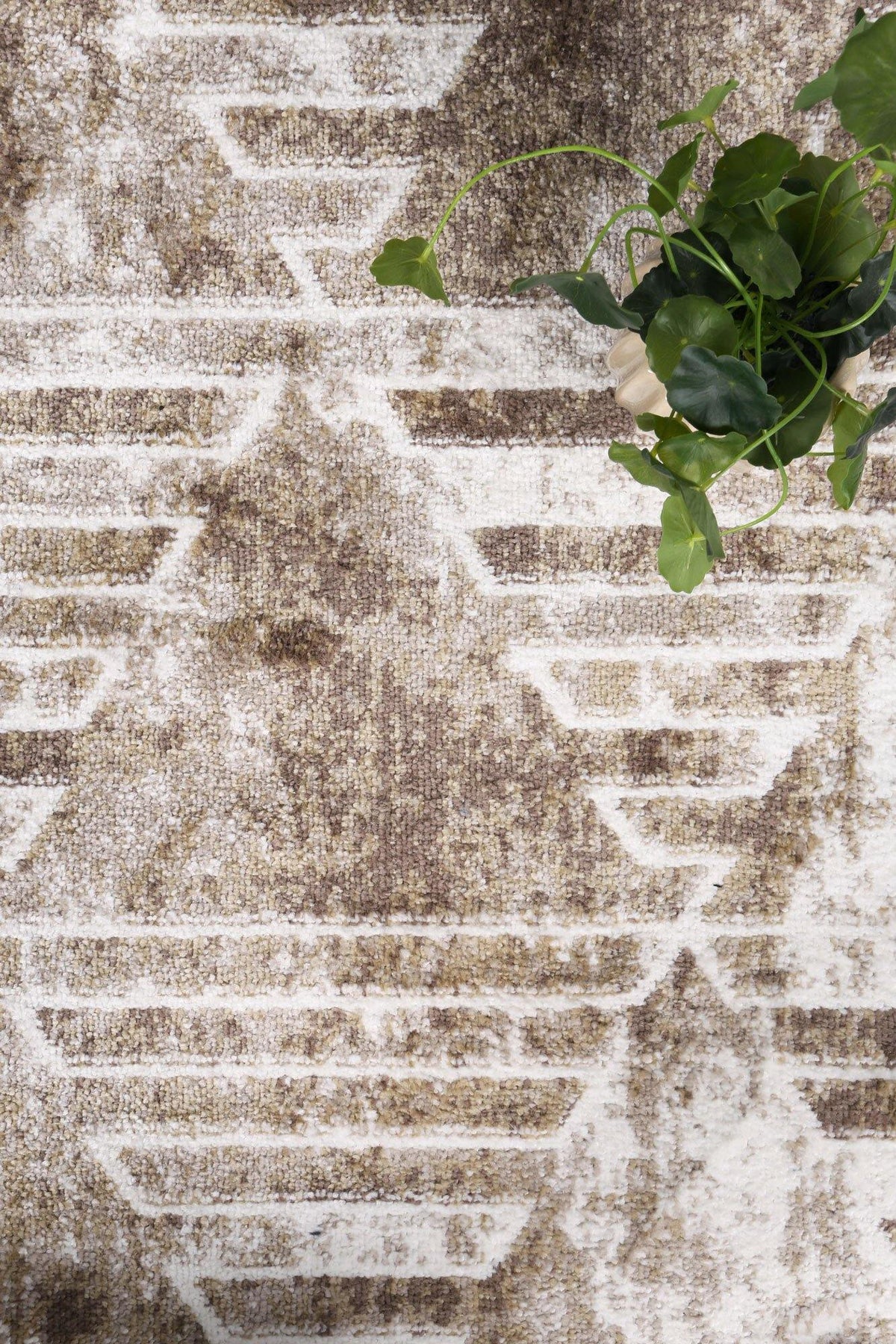 Layla Transitional Geometric Latte Rug - The Rugs