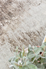 Zenith Taupe Neutral Abstract Rug, [cheapest rugs online], [au rugs], [rugs australia]