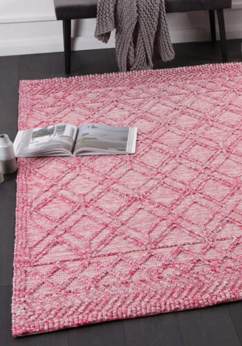 Braided Amara Contemporary Tribal Rug Blush