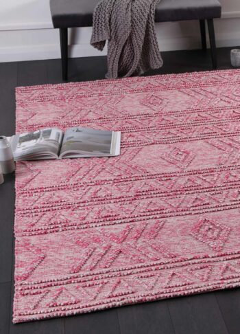 Braided Amara Transitional Abstract Blush Rug