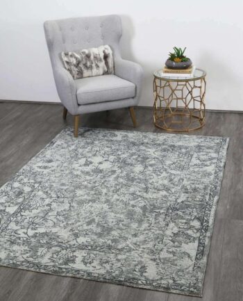 Classic Whimsical Boarder Grey Distressed Rug