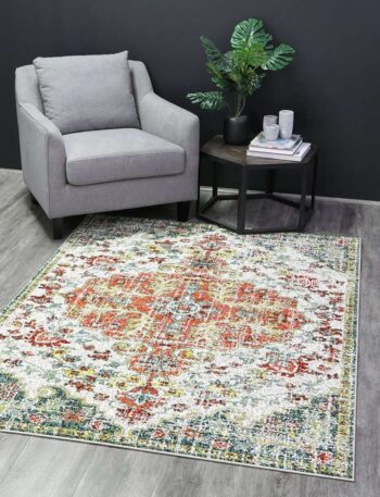 Everly Red Distressed Medallion Traitional Rug
