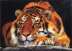 Iconic Tiger Picture Modern Rug N3406