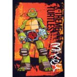 kids-mike-turtle-skate-fun-play-rug-cheapest-rugs-online-au-rugs-rugs-australia-17212790.jpg