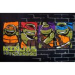 kids-ninja-turtle-fun-play-rug-cheapest-rugs-online-au-rugs-rugs-australia-17212793.jpg