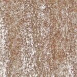 oslo-silky-soft-shag-1001-cappuccino-rug-cheapest-rugs-online-au-rugs-rugs-australia-17213656.jpg