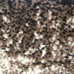 swift-eagle-picture-modern-brown-rug-cheapest-rugs-online-au-rugs-rugs-australia-17214520.jpg