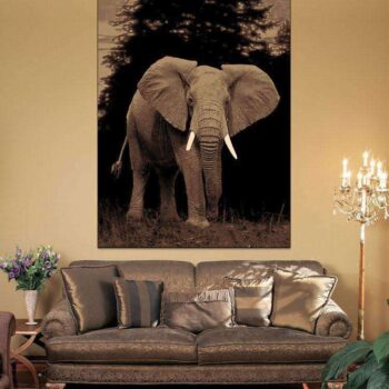 Swift Elephant Picture Modern Brown Rug