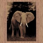 swift-elephant-picture-modern-brown-rug-cheapest-rugs-online-au-rugs-rugs-australia-17214526.jpg