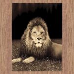 swift-lion-picture-modern-brown-rug-cheapest-rugs-online-au-rugs-rugs-australia-17214538.jpg