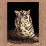 swift-tiger-picture-modern-brown-rug-cheapest-rugs-online-au-rugs-rugs-australia-17214550.jpg