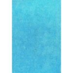 Cozy Super Soft Shaggy Blue Rug