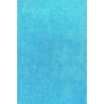 Cozy Super Soft Shaggy Blue Rug