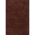 Cozy Super Soft Shaggy Brown Rug