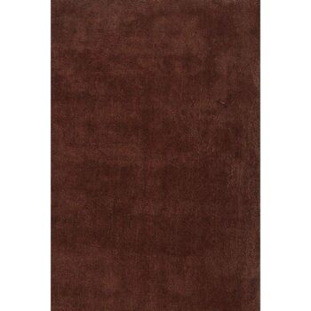 Cozy Super Soft Shaggy Brown Rug