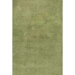 Cozy Super Soft Shaggy Green Rug