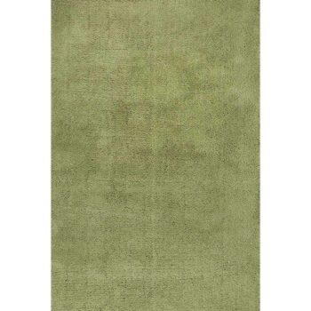 Cozy Super Soft Shaggy Green Rug