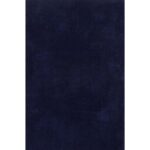 Cozy Super Soft Shaggy Navy Rug
