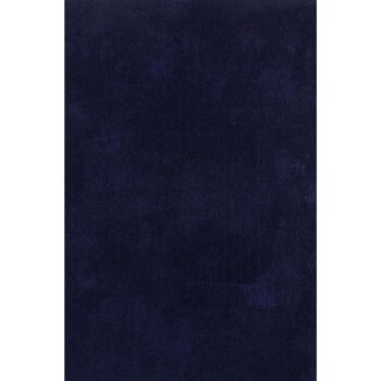 Cozy Super Soft Shaggy Navy Rug