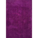 Cozy Super Soft Shaggy Purple Rug